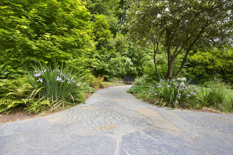 Walkway Paving